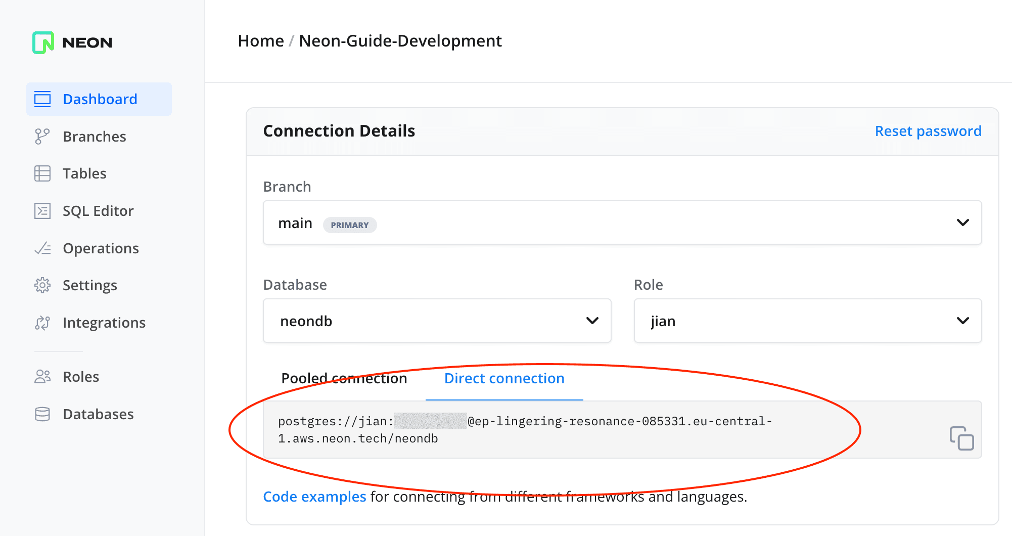 Neon connection string